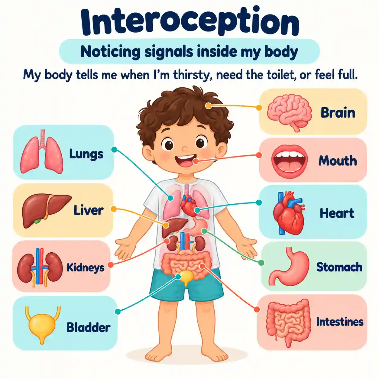 Interoception diagram showing how the body signals thirst, hunger, fullness and the need for the toilet